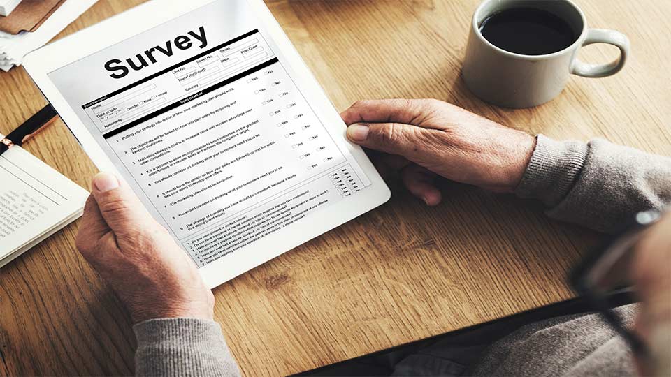 Public opinion survey examples