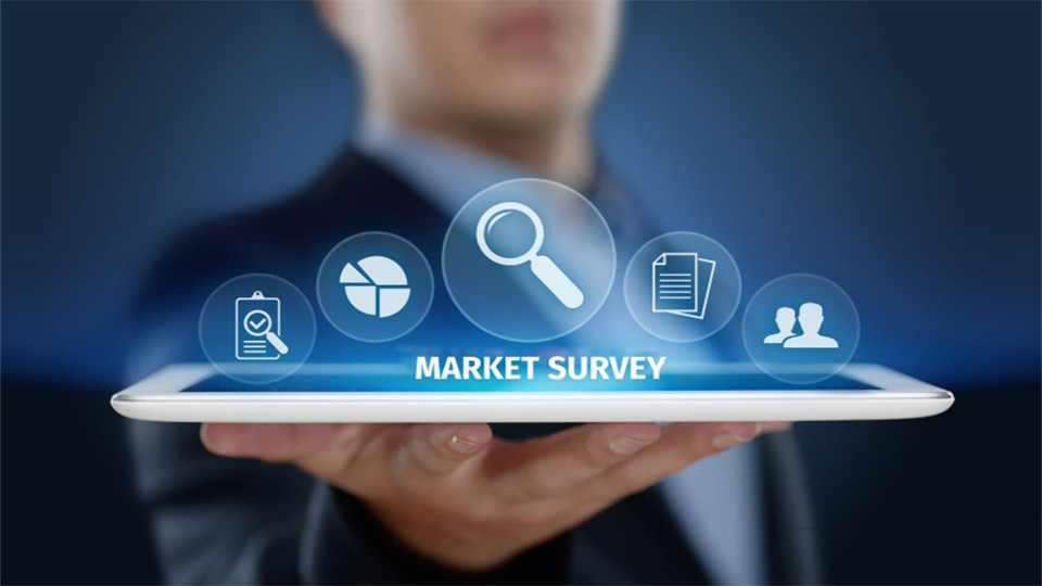 Market Survey 